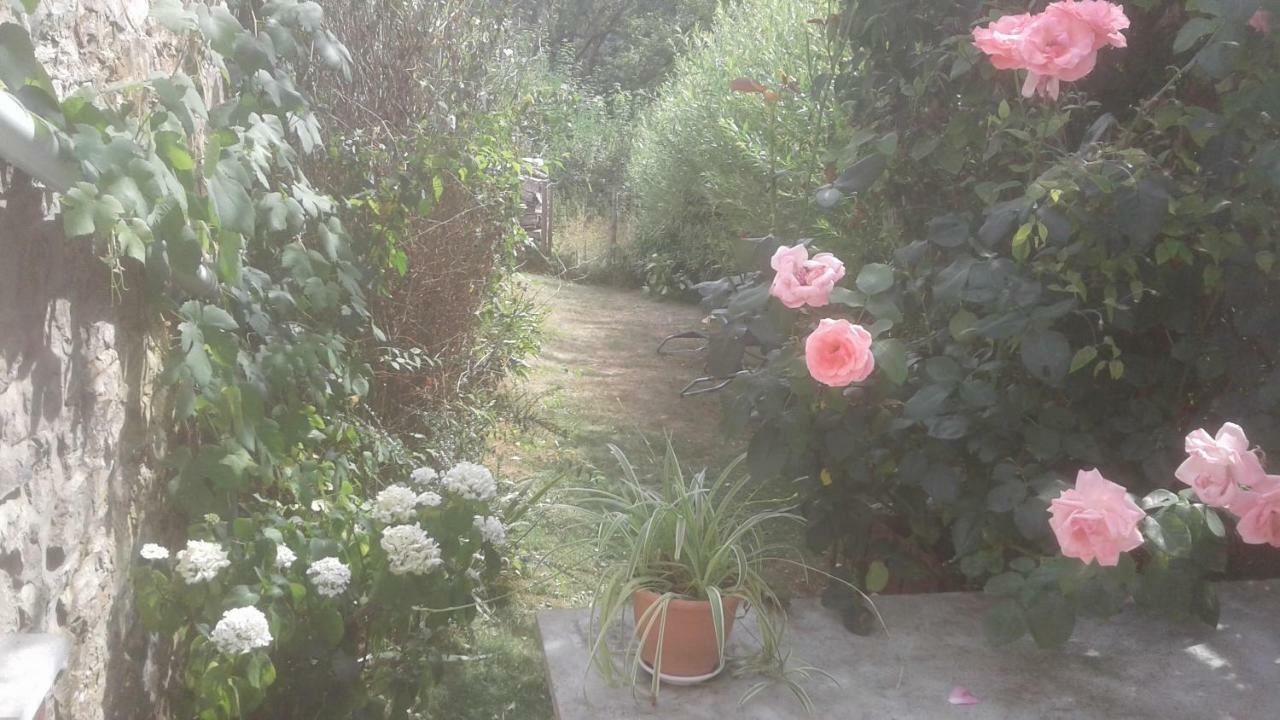La Truite Joyeuse Villa Saint-Hubert Dış mekan fotoğraf